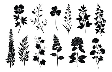Set of various detailed floral elements in black silhouette style, Vector Illustration.