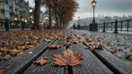 autumn in the park