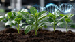 © Thailand Smile - Innovative plants growing rich soil, symbolizing genetic enhancement and biotechnology. DNA strand represents scientific advancement agriculture