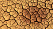 © Pixel By Bi - Cracked dry earth, forming a mosaic pattern, showcasing the effects of drought and aridity on the landscape.