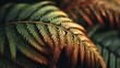 © Anur - A close-up shot of a fern frond, showcasing intricate details and warm, earthy tones. The dark background emphasizes the leaf's texture and delicate patterns.