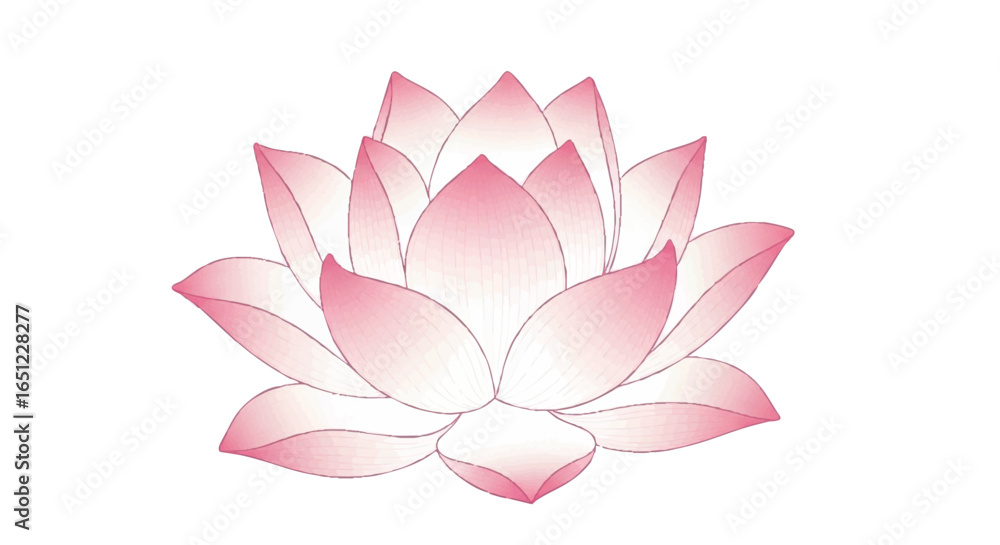 Pink lotus flower isolated on a white background Stock Vector | Adobe Stock