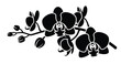 © motiur vector artist - Elegant black silhouette of a blooming orchid branch