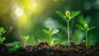 © Qggo - Nature’s Renewal: Captivating Scene of Seedling Growth in Ecological Environment – Delicate Green Shoots Emerging from Rich Soil, Tiny Leaves Unfurling Toward Sunlight, Roots Nestling in Moist Earth