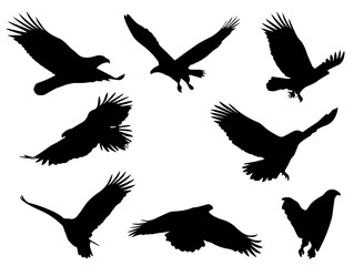 Wall Mural - Eagle silhouette vector graphic featuring flying eagles soaring high in the sky for design needs