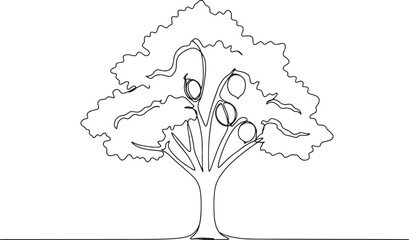 Minimalist one-line drawing of a walnut tree with fruits, simple