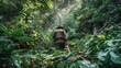 © wicha - Jungle explorer carefully making their way through dense underbrush using a machete to clear a path in wild tropical forest