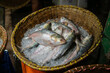 © AWM Anisuzzaman - Freshly caught Hilsa fish, a delicacy in Bangladesh, on ice.