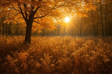 Wall Mural - autumntime among trees with vibrant leaf colors and withered plants