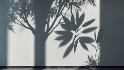 Wall Mural - soft shadows of leaves cast on a bright gray surface