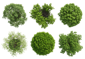 overhead view of various trees with lush green foliage creating a natural pattern for landscaping an