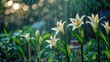 © AImmersive Imagery - Lily stems soaked from summer rain amidst a floral garden with a bokeh effect