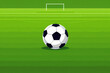 © MSTHUMAYRAAKTER - soccer ball on green grass