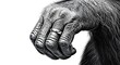 © Adi - A hyperrealistic grayscale drawing of a gorilla's hand, subtly adorned with a ring, rests gently.