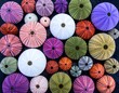 © Tini - Colorful sea urchins on dark surface
