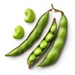 © Ouzhan - Freshly picked green beans, showcasing the beauty of nature's bounty. The vibrant green hue of the beans against a contrasting background provides a visually appealing image.