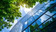 © PanoramaStudio - Modern Glass Skyscraper Reflecting Lush Greenery and Blue Sky: Upward View, Sustainable Business Concept
