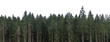 © David Kreuzberg - dark spruce trees forest landscape sky isolated on white or transparent png