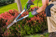 © Tomasz Zajda - Pruning Bushes in a Garden on a Sunny Afternoon to Maintain Greenery