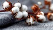 © Disco - A close-up of a cotton boll on a grey fabric, with a blurred background.