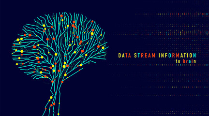Abstract digital brain connections. Scientific digital computer code. Graphic concept for your design