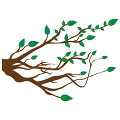 Green tree branches with fresh green leaves