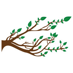 Green tree branches with fresh green leaves