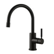© toxic - Sleek Matte Black Kitchen Faucet: Modern Design for Your Home