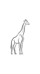  Giraffe silhouette graphic design