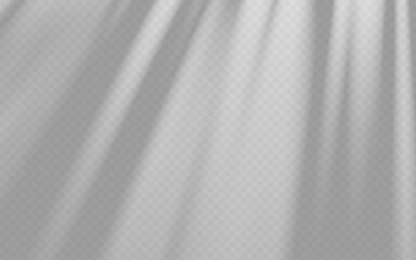 Wall Mural - abstract shadow overlay from tree branch on a transparent background.