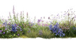 © Hazrat - A border of purple and blue wildflowers isolated on transparent background