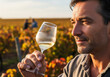 © Yuliya - Man holding glass of white wine in vineyard. Rows of autumn leaves in the vineyard in the background. Wine tasting and sommelier experience. Grape harvesting in vineyard. Winemaking concept.