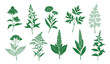© bow - Plant nature hand drawn set. Collection botanical element.