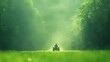 © ABD Miah - Person riding an atv through a sunlit forest path