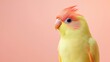 © ABD Miah - Adorable yellow parrot with pink crest against a soft peach background