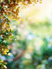 Wall Mural - Sunlit leaves in a natural setting with bokeh background, a close-up view showcasing the vibrant colors and soft light