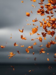 Wall Mural - Autumn leaves falling in a gentle cascade against a blurred background low angle view seasonal transition