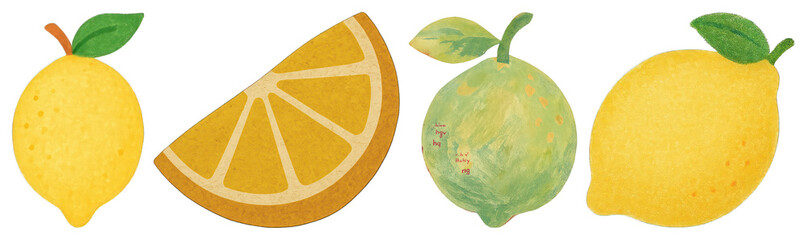 Wall Mural - png colorful citrus fruit illustrations, element set on transparent background
