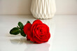 © kateej - czerwona róża na stole, czerwona róża odbijająca sie w szkalnym blacie stołu, Red rose on white table