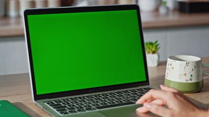 Wall Mural - Businesswoman fingers scrolling mockup laptop touchpad working at home closeup