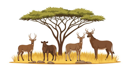 Naklejka na meble A captivating illustration featuring a group of waterbucks gracefully gathered beneath the shade of an acacia tree an image showcasing the beauty of
