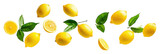 PNG Real lemons with leaf background floating produce.