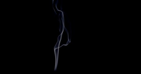 Wall Mural - Real smoke on a black background. Thin Flexible Trickle of Real Smoke. Colorful real smoke rises up. Ideal for background or over-layer with blending mode add, screen, lighten.