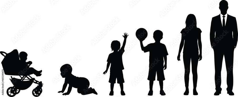 Human growth stages, baby to adult, life cycle, child development ...