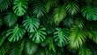 © zerogami - Lush Tropical Green Foliage Monstera and Palm Leaves Pattern Background.
