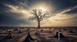 © golekduetdolaR - A lone tree stands amidst a barren landscape of felled trees, a stark image of deforestation.