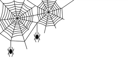 Minimalist Halloween spider web with two spiders black