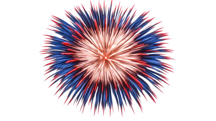 Wall Mural - Explosion of blue and red spiky bursts against a white background, cut out transparent