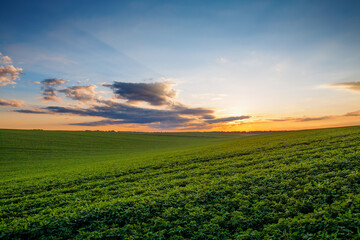 Wall Mural - Vibrant sunset casts a magical glow over rolling green hills in a serene landscape.