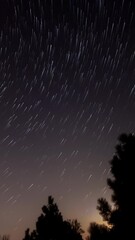 Wall Mural - milky way star-trails and rural countryside tree silhouettes. time-lapse video.